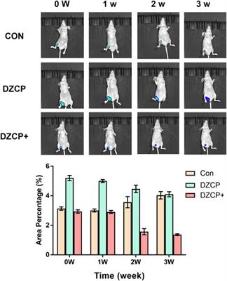 Metal-Organic Framework-Based Nanotherapeutics With Tumor Hypoxia-Relieving Ability for Synergistic Sonodynamic/Chemo-therapy
